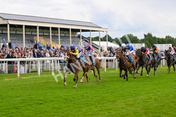 140624-Race 5-Ron O-4848 - Race 5 4.10pm Juddmonte EBF Fillies Restricted Novice Stakes