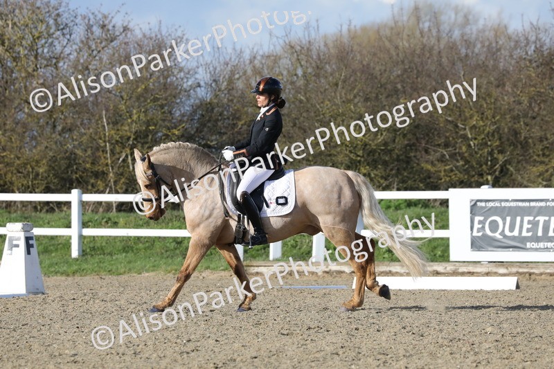 20260314-5807 - DR 7 - Elementary 1