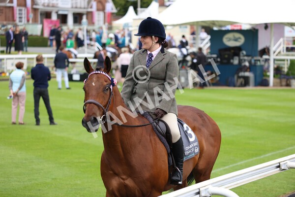 yr22052022r8e-118 - ROR - Parade Ring York