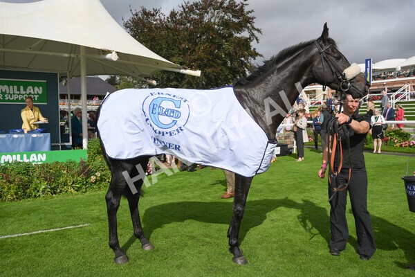 yr24092021r1-178 - Race 1 1.10pm Ernest Cooper Macmillan Ride of Their Lives