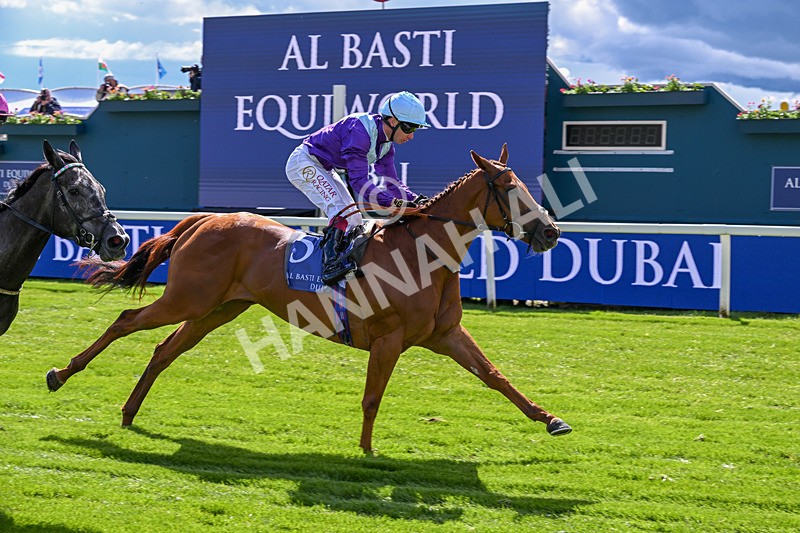 140526-Race 4-See The Fire-5183 - Race 4 3.30pm Al Basti Equiworld Dubai Middleton Fillies' Stakes