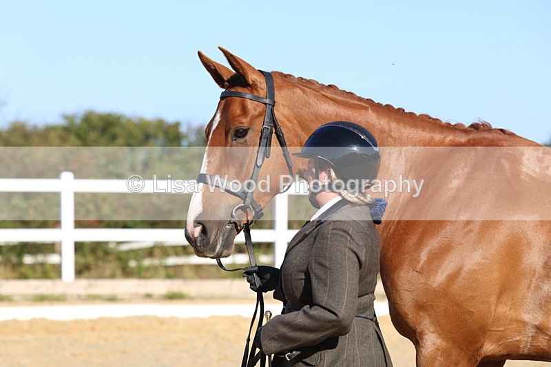 3E7A5232 - Class 7: Novice Ridden Hunter/Hack/RH/Cob