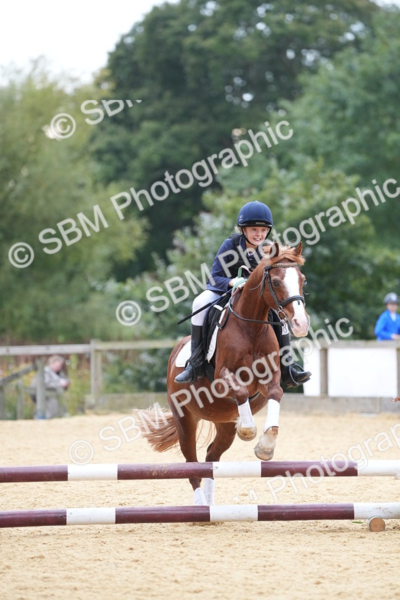 SBM_74577 - J4 - Mini Tour Junior Pony 45cm Championship