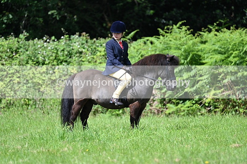 WJ7_1201 - Class 11 Condition & Turnout