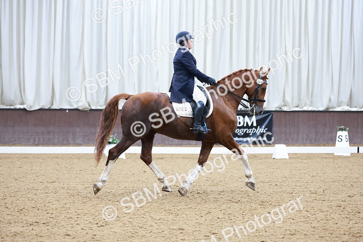 SBM_021230 - Class 14 - FEI Grand Prix - 17.40-18.34