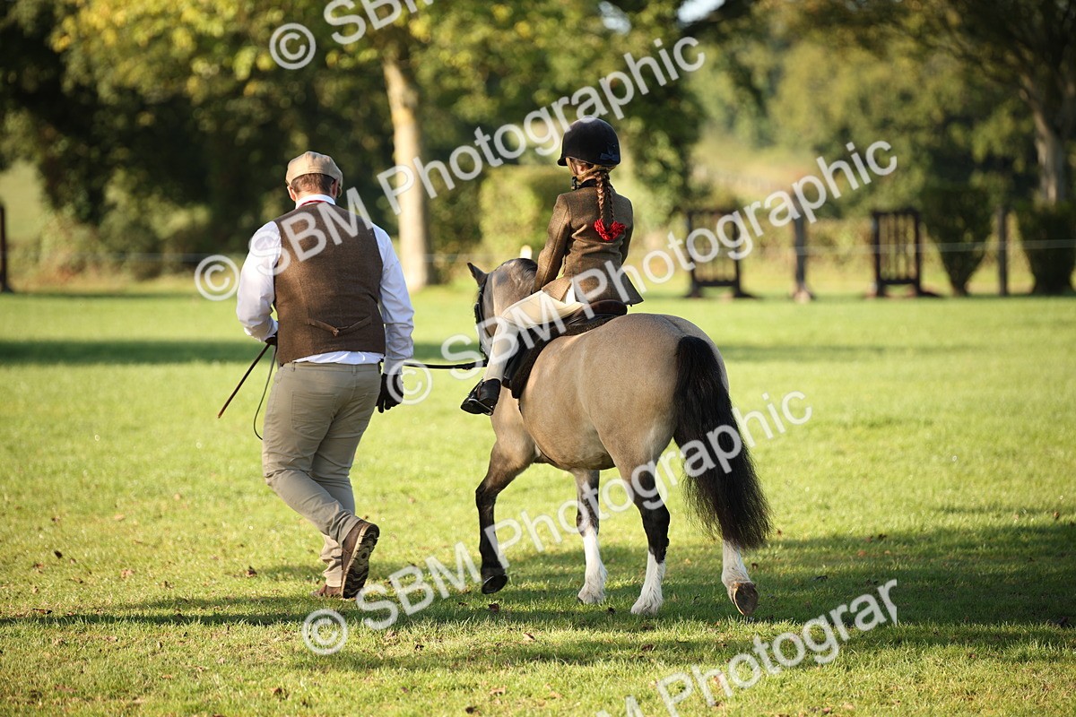 SBM_34238 - S9 - Lead Rein Equitation
