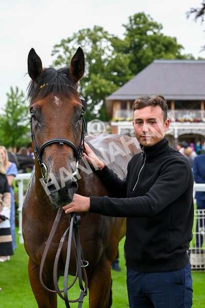 120724-Race 5-Sisyphean-6335 - Race 5 4.20pm George Blades Memorial Handicap