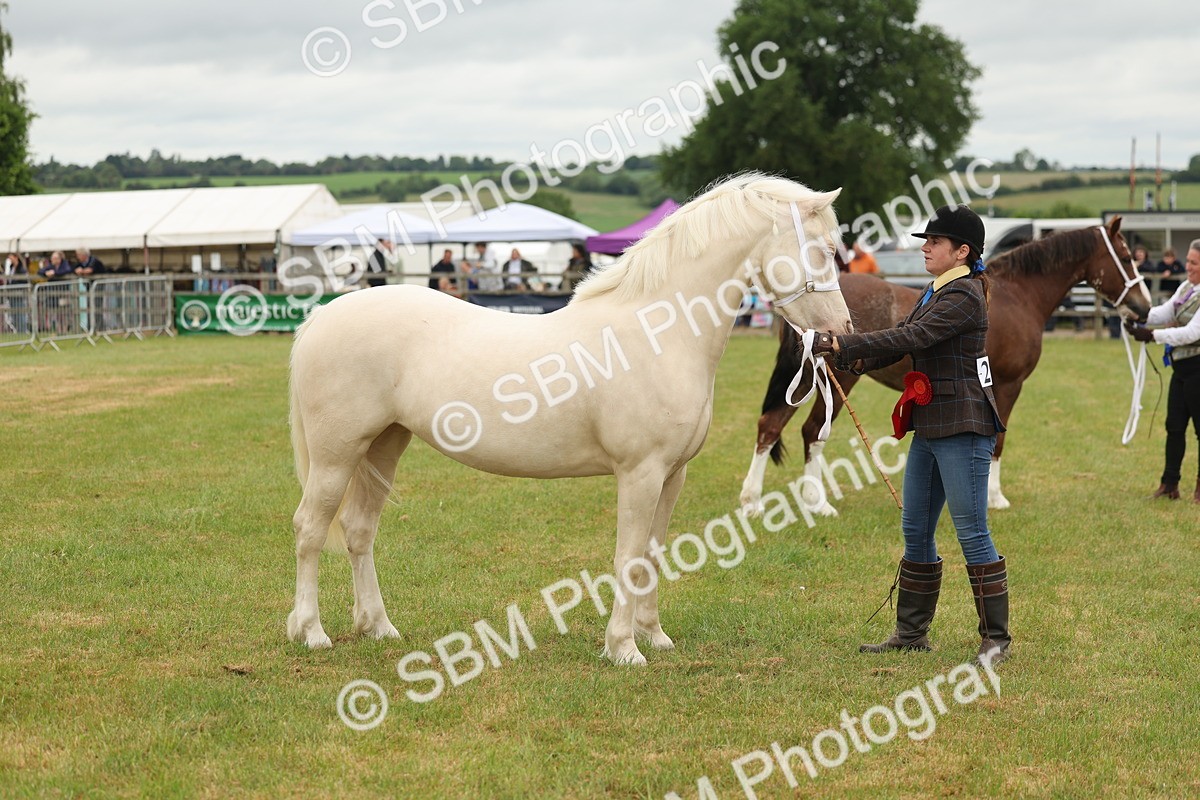 SBM_02419 - Class 50-57 - M&M Welsh Pony In Hand