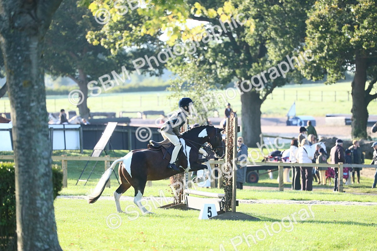 SBM_32234 - S28 - Nursery Stakes Working Hunter Pony