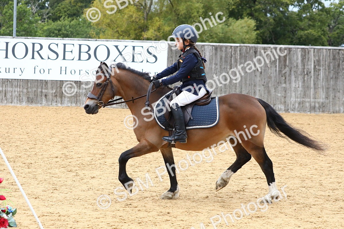 SBM_68240 - J3b - Mini Tour Junior Pony 40cm Championship