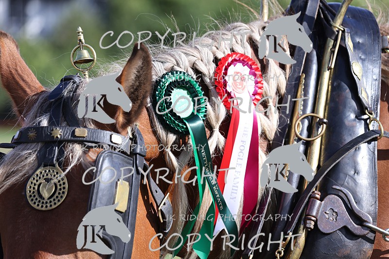 APP_4099 - Class 19 Fancy dress