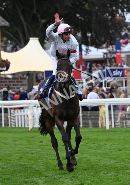 230825-139 Ethical Diamond - Race 4 3.35pm Sky Bet Ebor Handicap