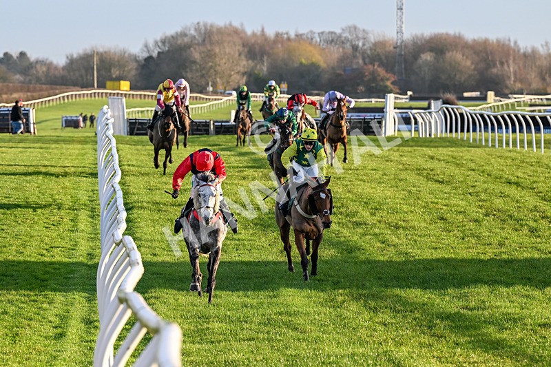 161225-Race 5-Somebodycomegether-8833 - Race 5