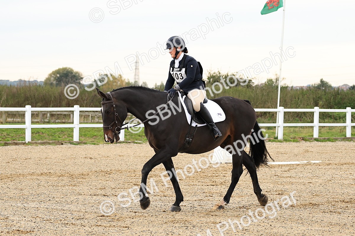 SBM_000202 - Prelim 2