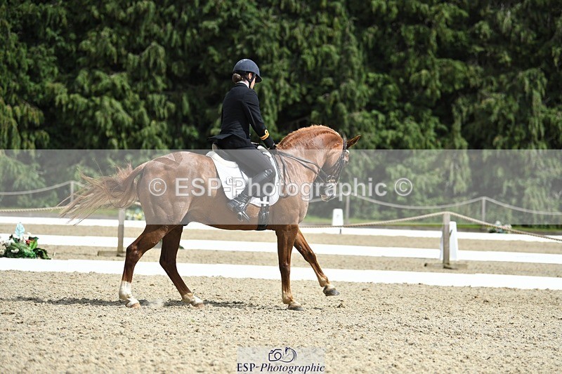 230812-141906-04663 - Cls 7 FEI PSG Bronze