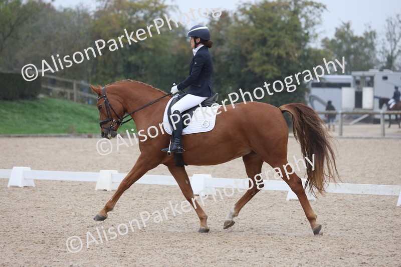 20251012-0645 - Class 5 - Elementary 5