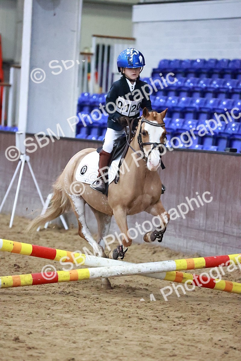 SBM_000446 - Class 2 - 50cm