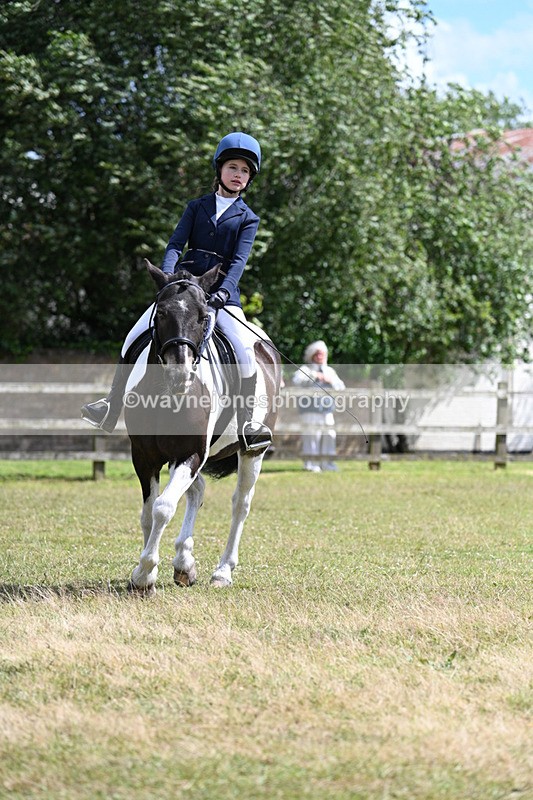 WJ7_0064 - Class 8 Ridden Veterans
