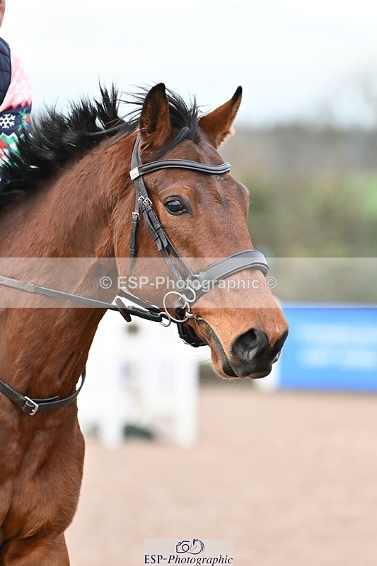 241206-091716-00457 - Cls 1 Clear Round