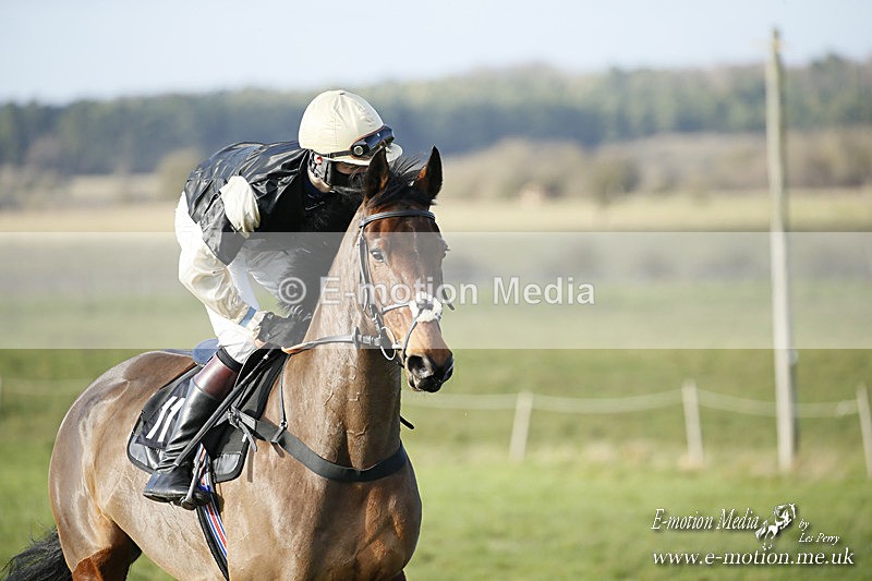 PtP 121220 151 - Avon Vale Races Larkhill 12/12/20
