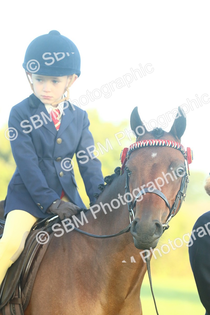 SBM_56659 - S36 - Starters Best Turnout