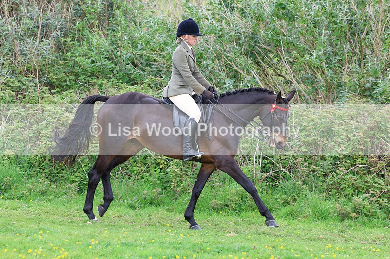 3E7A1974 - Class 10: Ridden Sports Horse
