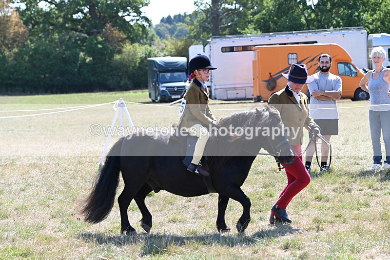 WJ6_7720 - Class 36 Lead Rein