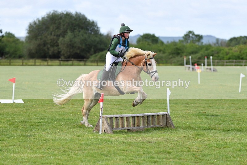 WJ5_2340 - Class 2 40cm