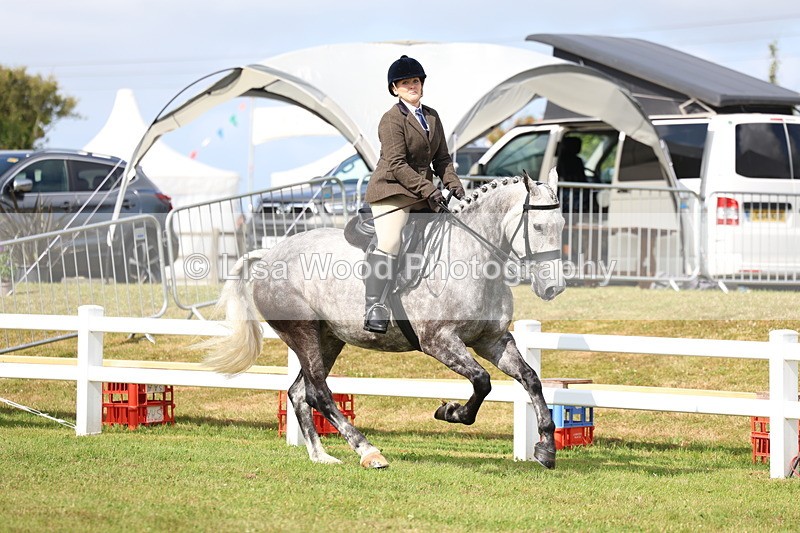 3E7A9213 - Class 3: Rising Star S/L Hunter