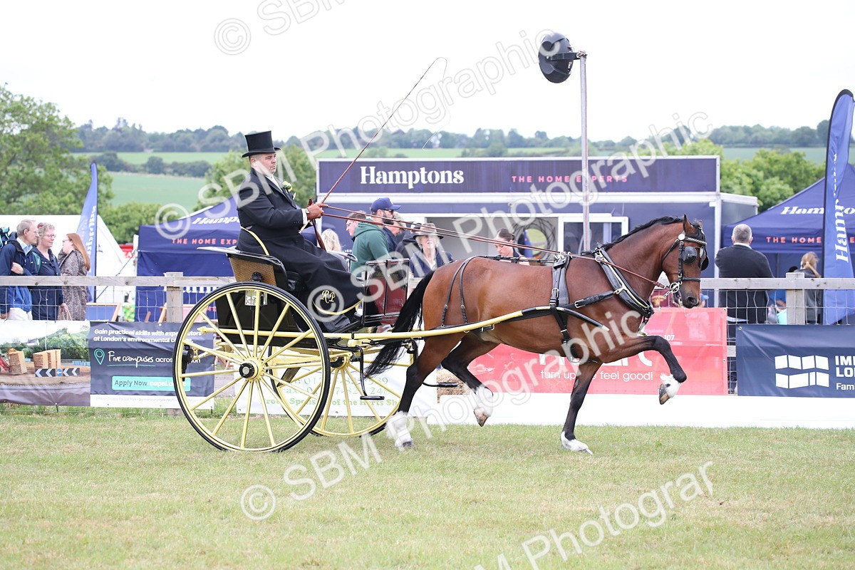 SBM_05741 - Class 12-15 - HOYS Private Driving
