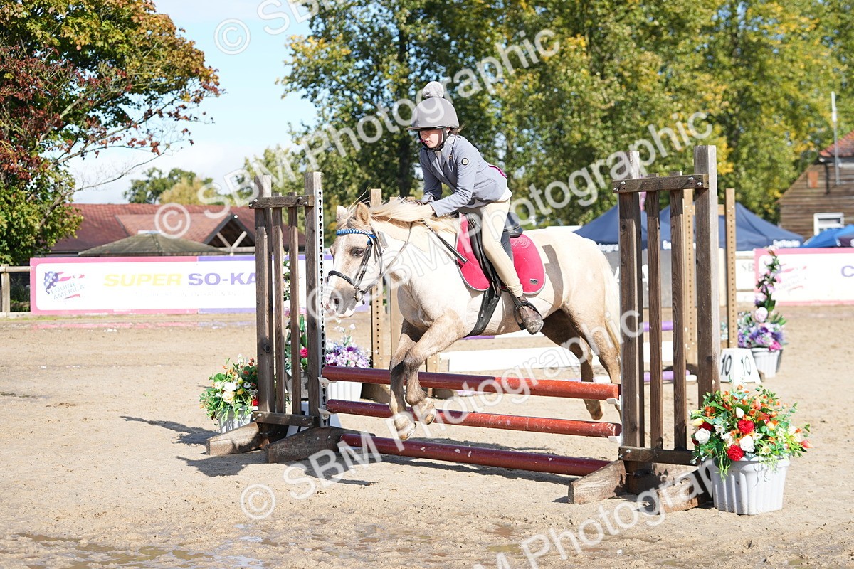 SBM_38315 - J6 - Junior Pony 55cm Championship