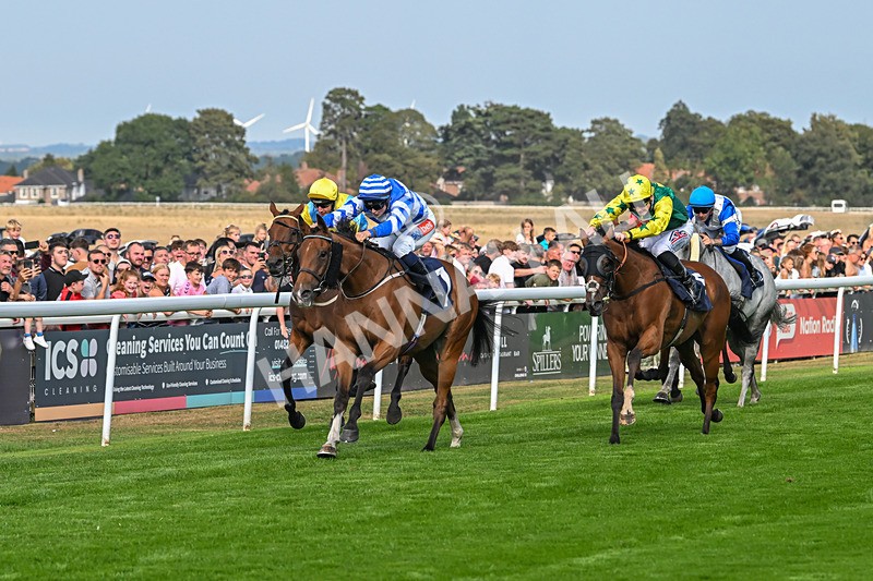 240825-Race 5-This Years Love-3401 - Race 5