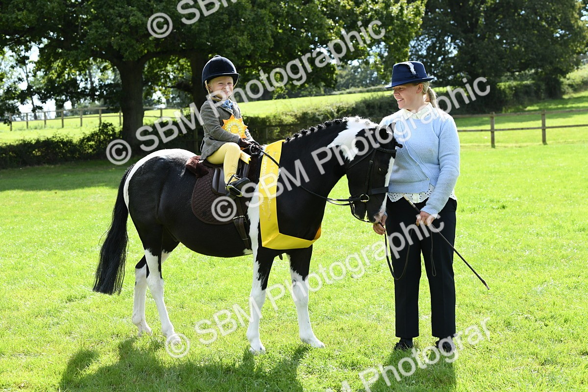 SBM_41265 - S19 - Lead Rein Show & Show Hunter Pony