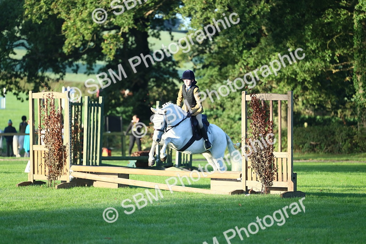 SBM_31713 - S28 - Nursery Stakes Working Hunter Pony