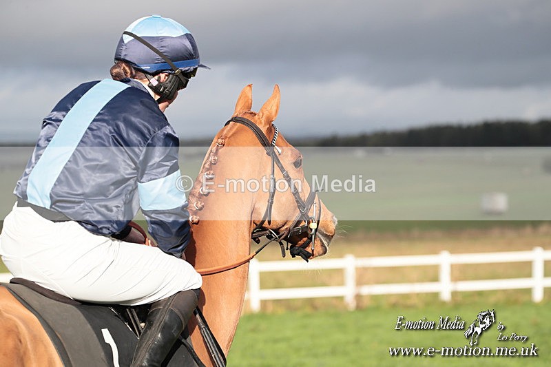 PtP 011224 333 - Hursley Hambledon Point-to-Point Larkhill 01/12/24