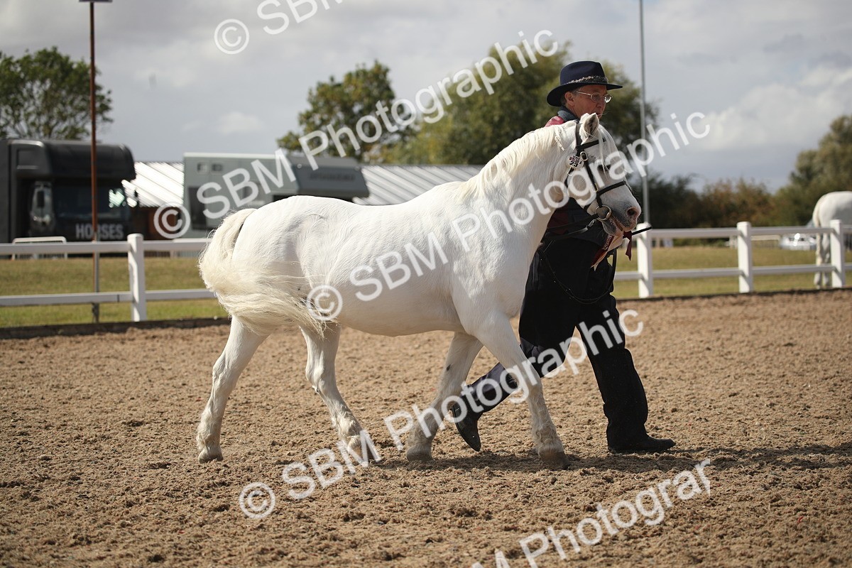 SBM_23596 - Class 605 - 2026 - Area - IH Veteran