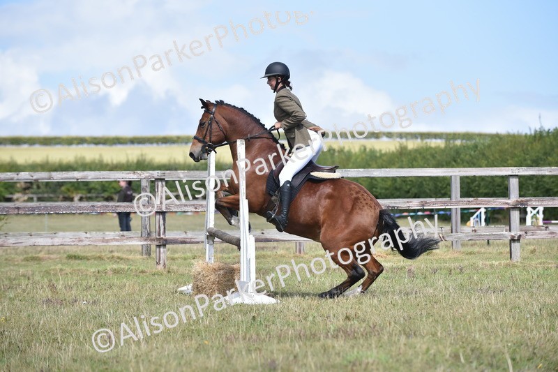 20250831-4009 - Class 12 - Working Hunter Pony 14.2hh and Under