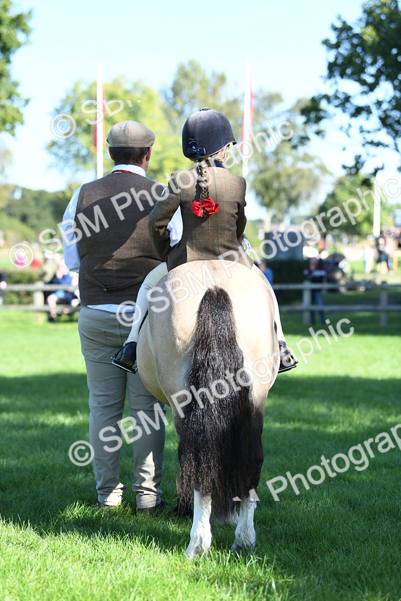 SBM_36928 - S18 - Novice & Newcomers Lead Rein Pony