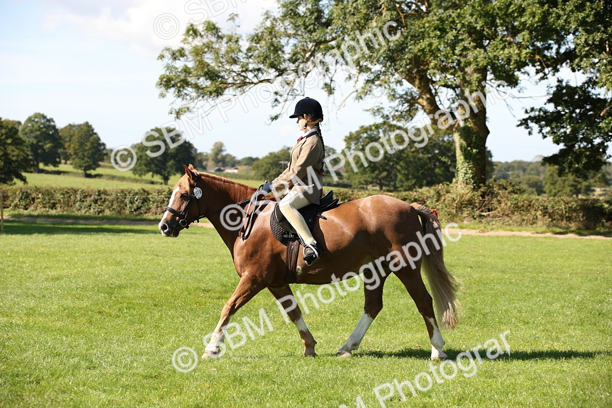 SBM_39000 - S11 - Best Ridden Horse & Pony