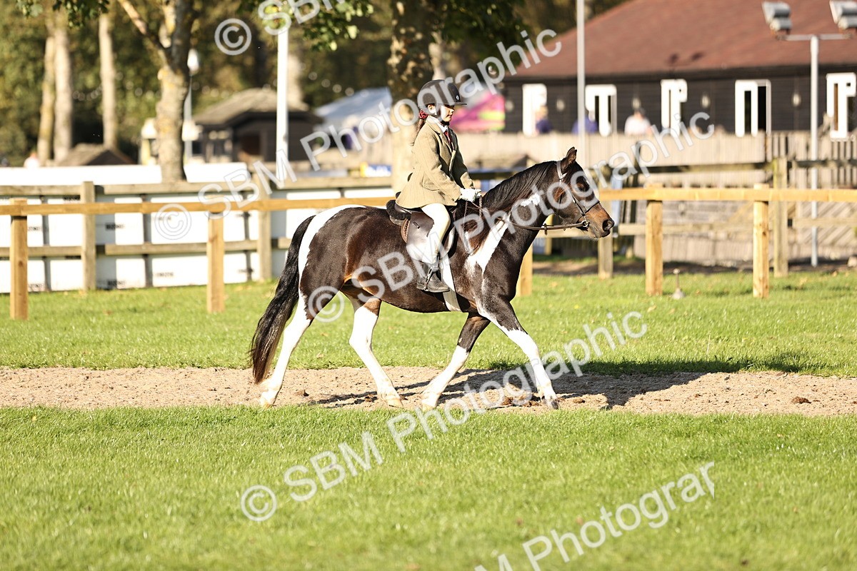 SBM_29418 - S7 - Novice & Newcomers Ridden Pony