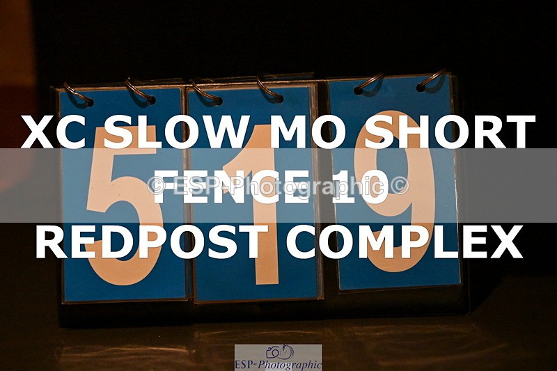 ESP_519 - G-519-Amy.Miller