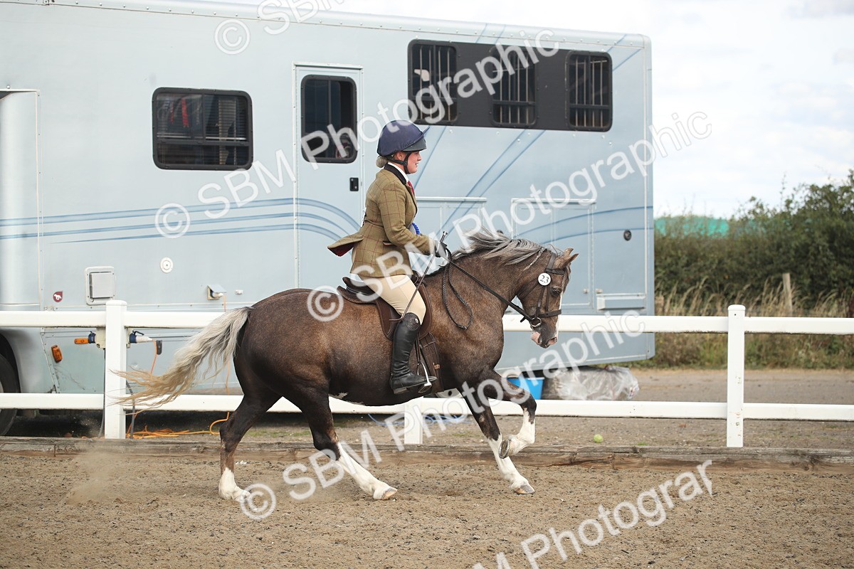 SBM_15197 - Class 505b - M&M Working Veteran - 50cm (20+)