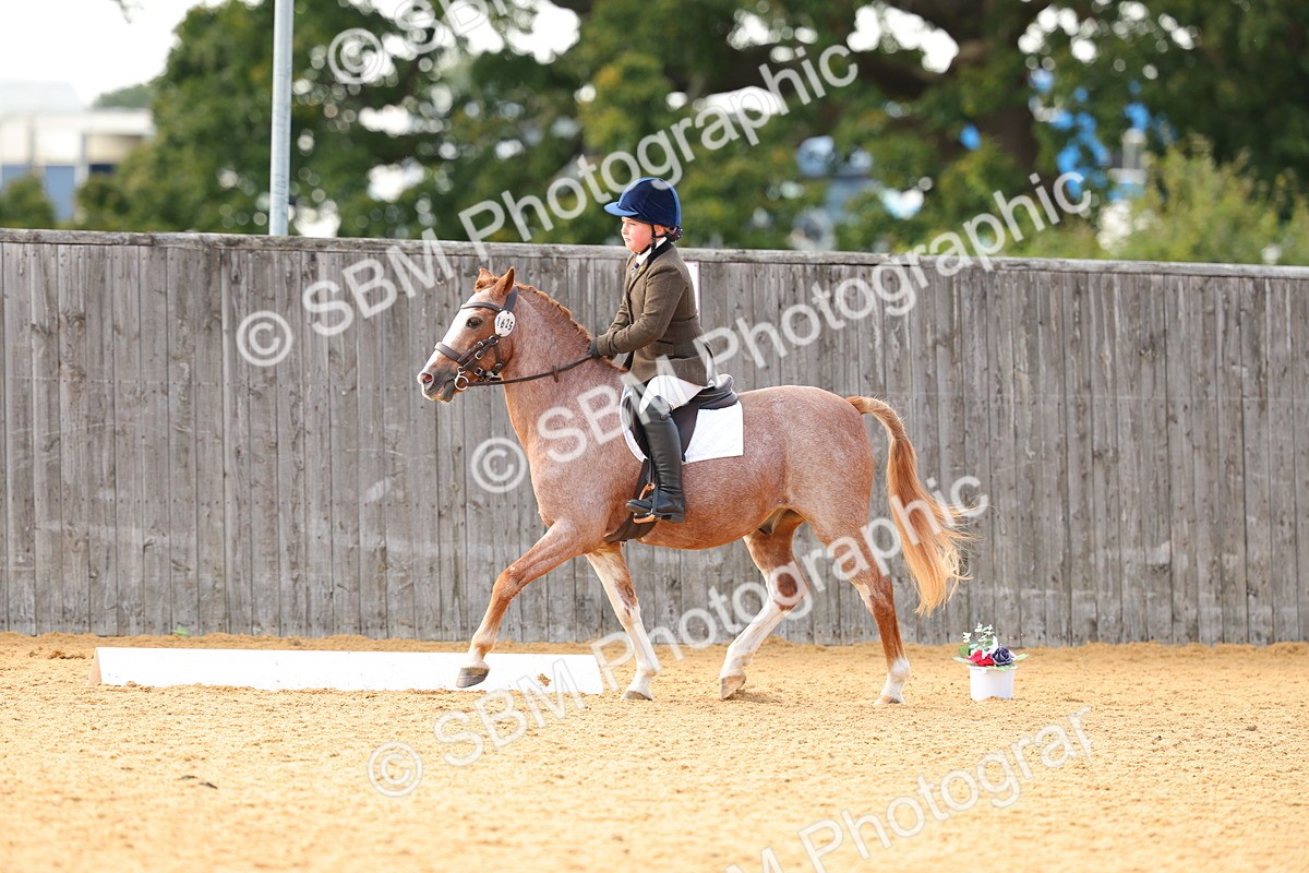 SBM_49739 - D24 - Junior Championship - Prelim 1
