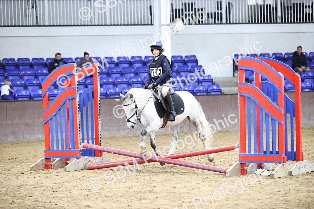 SBM_000318 - Class 2 - The Rug Lady 40cm