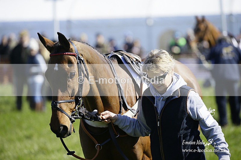 PtP 200322 4 - Mendip Farmers Point-to-Point 20/03/22