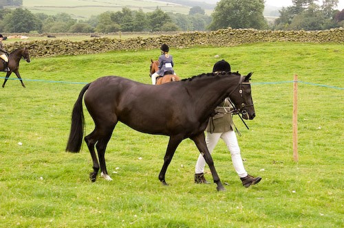 62 - Moniaive Horse Show 2008