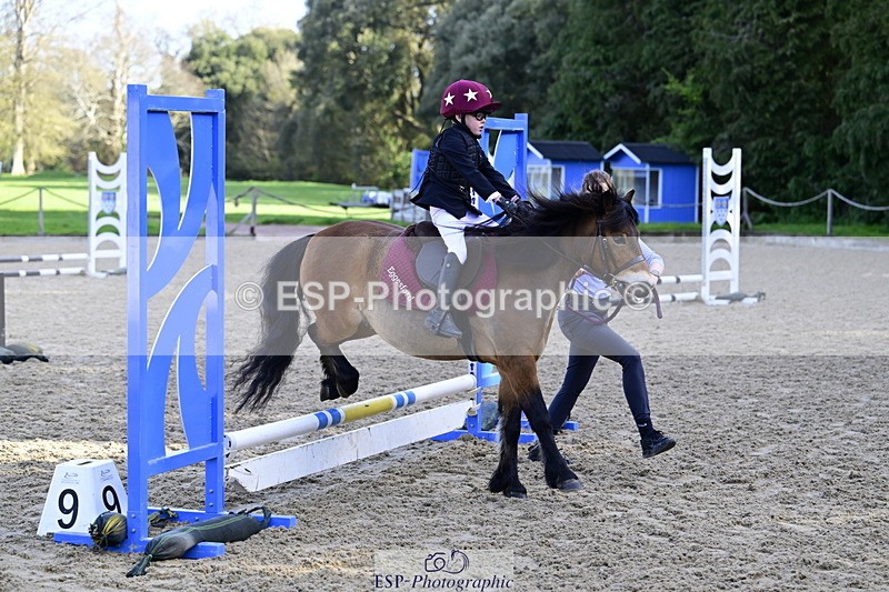 260411A-092722-00174 - 40cm Lead Rein