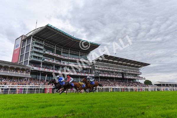 270724-Race 1-Alflaila-1304 - Race 3 3.15pm Sky Bet York Stakes