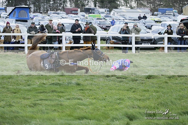 PtP 281121 0593 - Hursley Hambledon Point-to-Point Larkhill 28/11/21