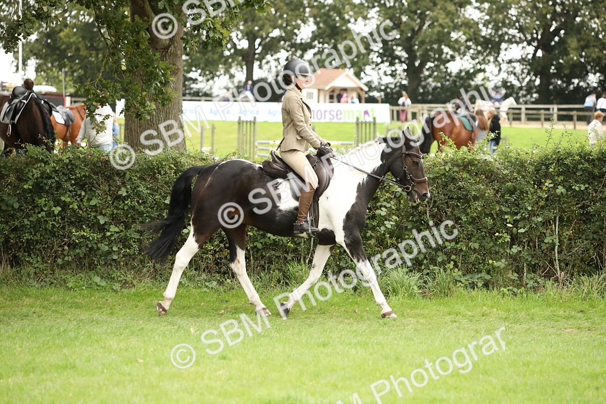 SBM_73683 - S41 - Ridden Equitation (Best Rider)